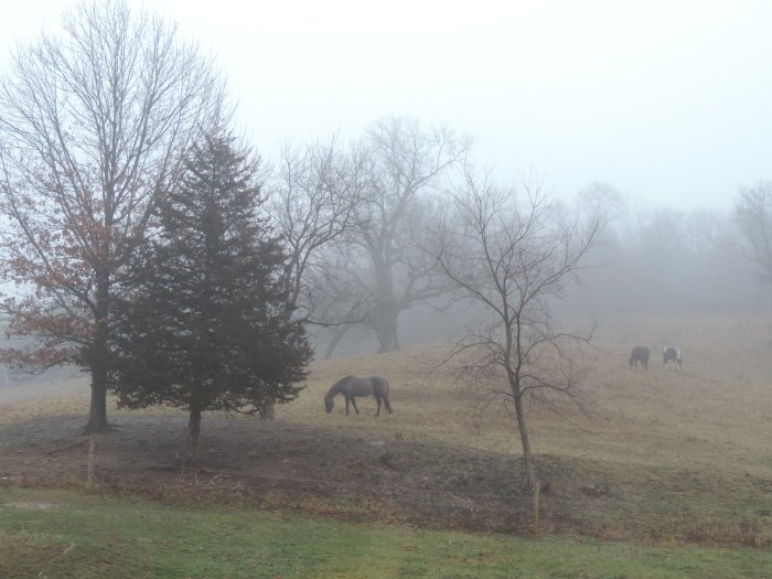 Uitzicht uit de cabin