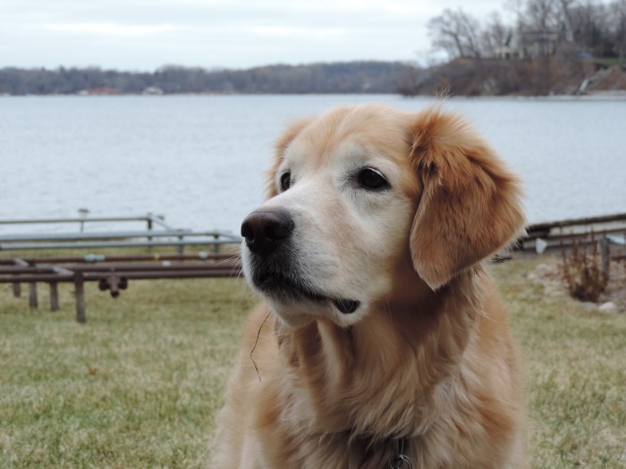Marina zit model. In de achtergrond Lake Minnetonka