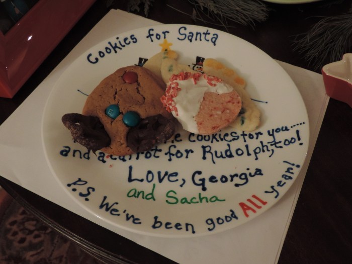 Cookies voor Santa - zelfgebakken, uiteraard!