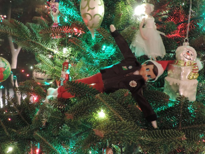 Dit is The Elf on the Shelf, momenteel in de boom