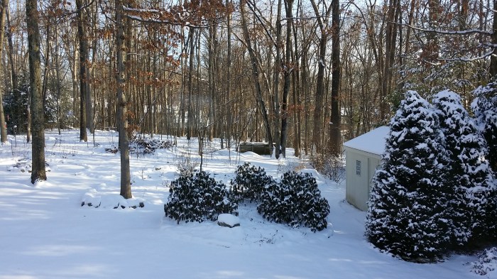 En nog een keer: sneeuw in de achtertuin