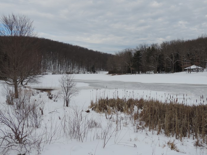 Sneeuw op het Black Moshannon meer