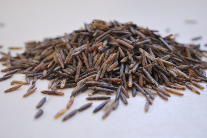 Wilde rijst uit Minnesota