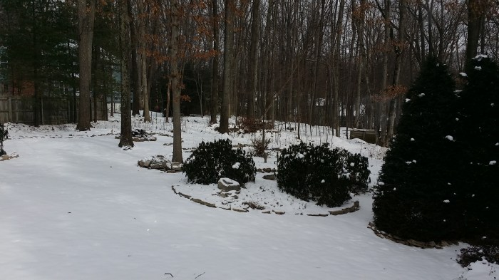 Koud, maar het is wel mooi buiten! 