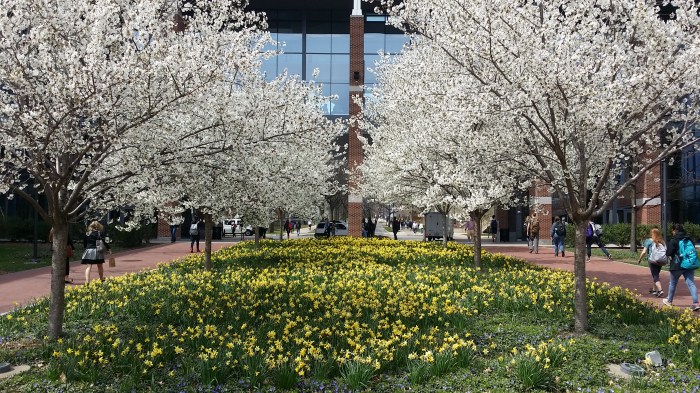 Het was eventjes lente...