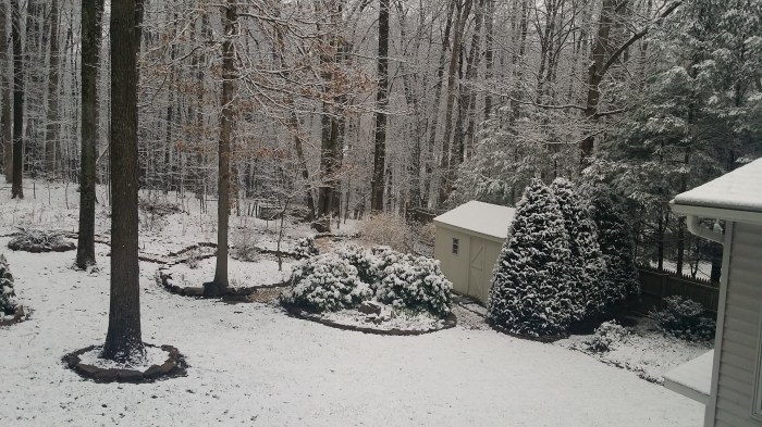 Zaterdagochtend. 5 centimeter sneeuw...