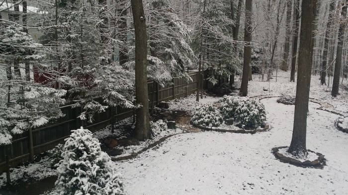 Ziet er wel mooi uit natuurlijk!