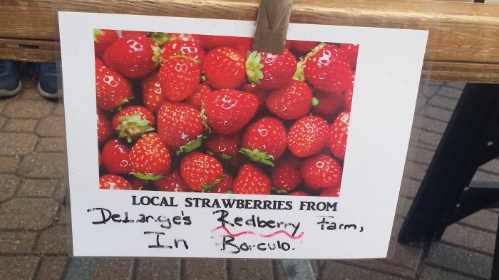 En aardbeien van DeLange's Redberry Farm uit Borculo!