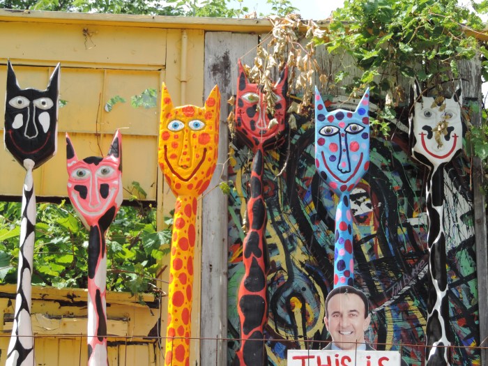 En er zijn ook katten bij het Heidelberg Project