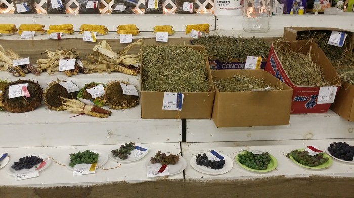 De prijs voor het beste... eh... hooi (?) gaat naar...: