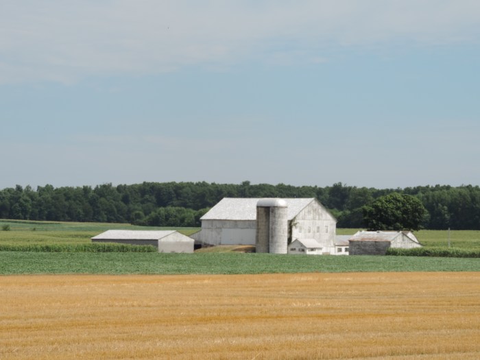 Boerderij in het veld