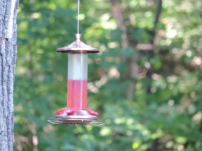 De hummingbird feeder