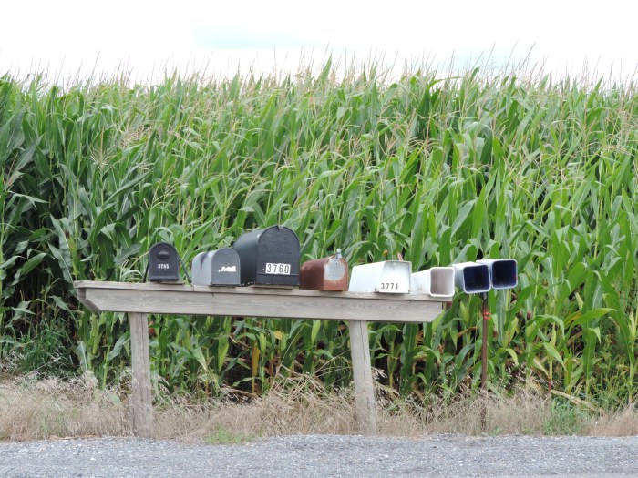 Rijtje brievenbussen op het platteland van Centre County
