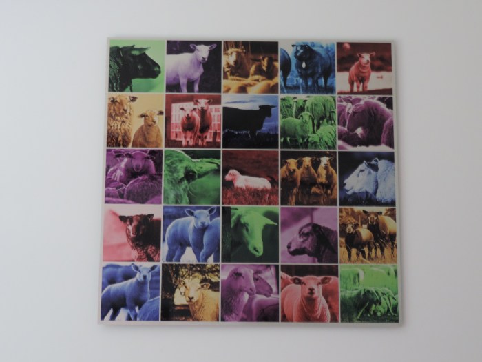 "Colored Wool" in onze schaapkamer