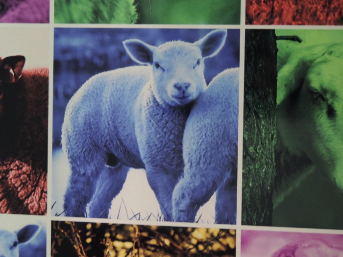 Detail - mooi geworden he?