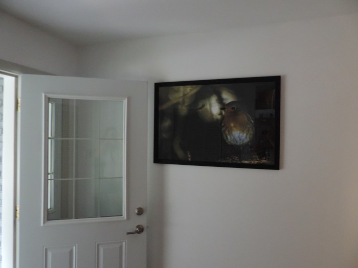 En een roodborstje van 40 centimeter hoog!