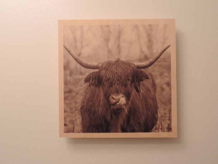 Zwart-wit op hout - we hebben negen verschillende