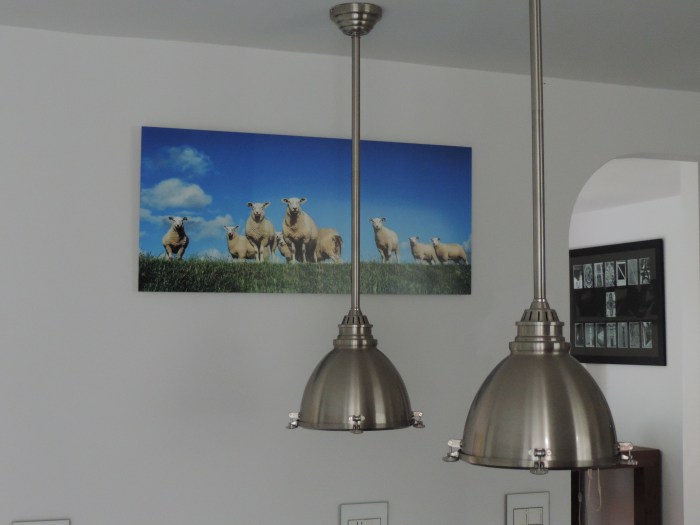 Schapen in de keuken! Ook op aluminium (met wit afgedrukt)