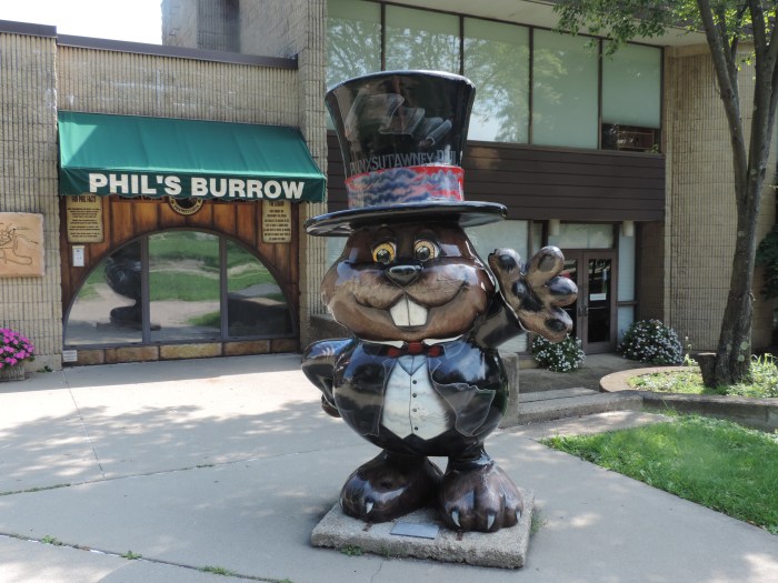 Groundhog in pak met hoge hoed