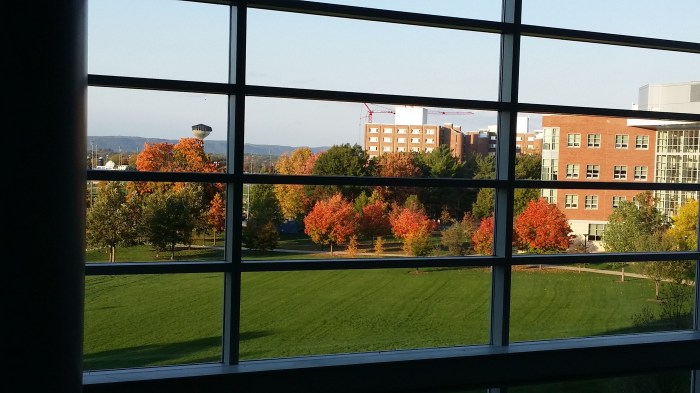 Uitzicht vanuit de business school