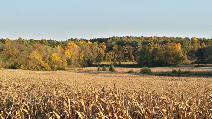 Op de terugweg van mijn fietsrondje. Dit is zo mooi aan het einde van de middag!