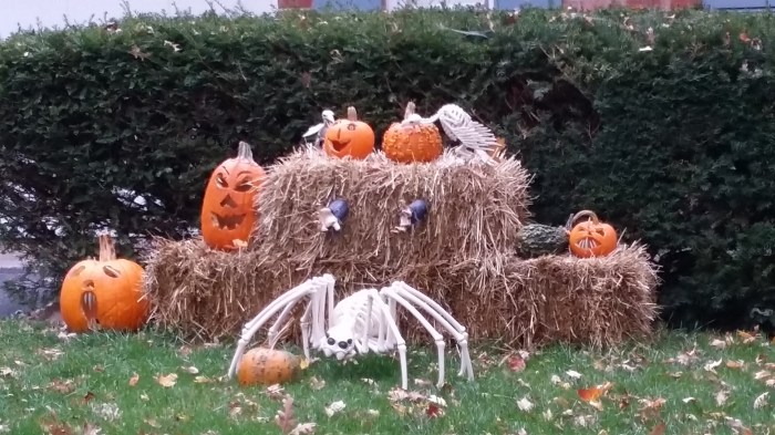 En hele creatieve bovendien!