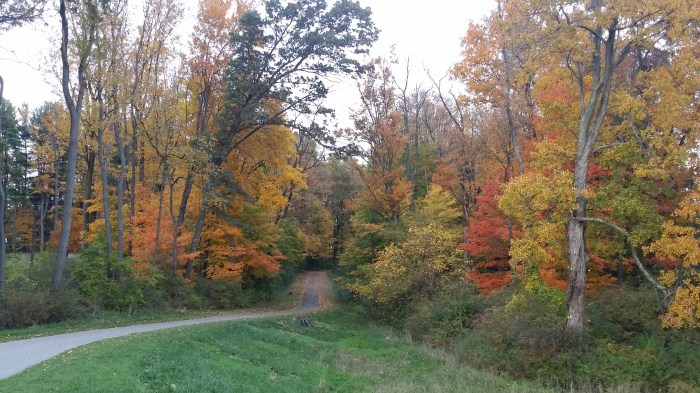 Ook deel van mijn middagrondje. Dat is mijn fietspad!