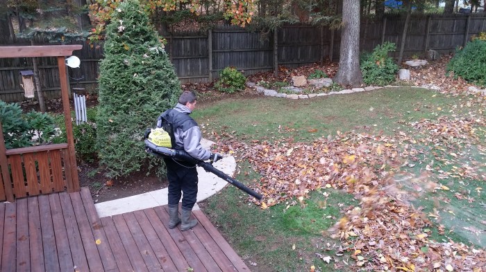 En ja... die bomen laten ook hun bladeren vallen. Bladruimtijd!!!