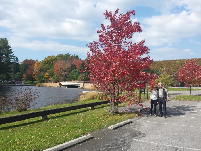 Mooie rode bomen bij Black Moshannon Park